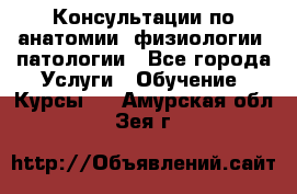 Консультации по анатомии, физиологии, патологии - Все города Услуги » Обучение. Курсы   . Амурская обл.,Зея г.